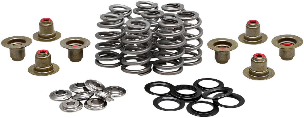KIBBLEWHITE Beehive Valve™ Spring Kit