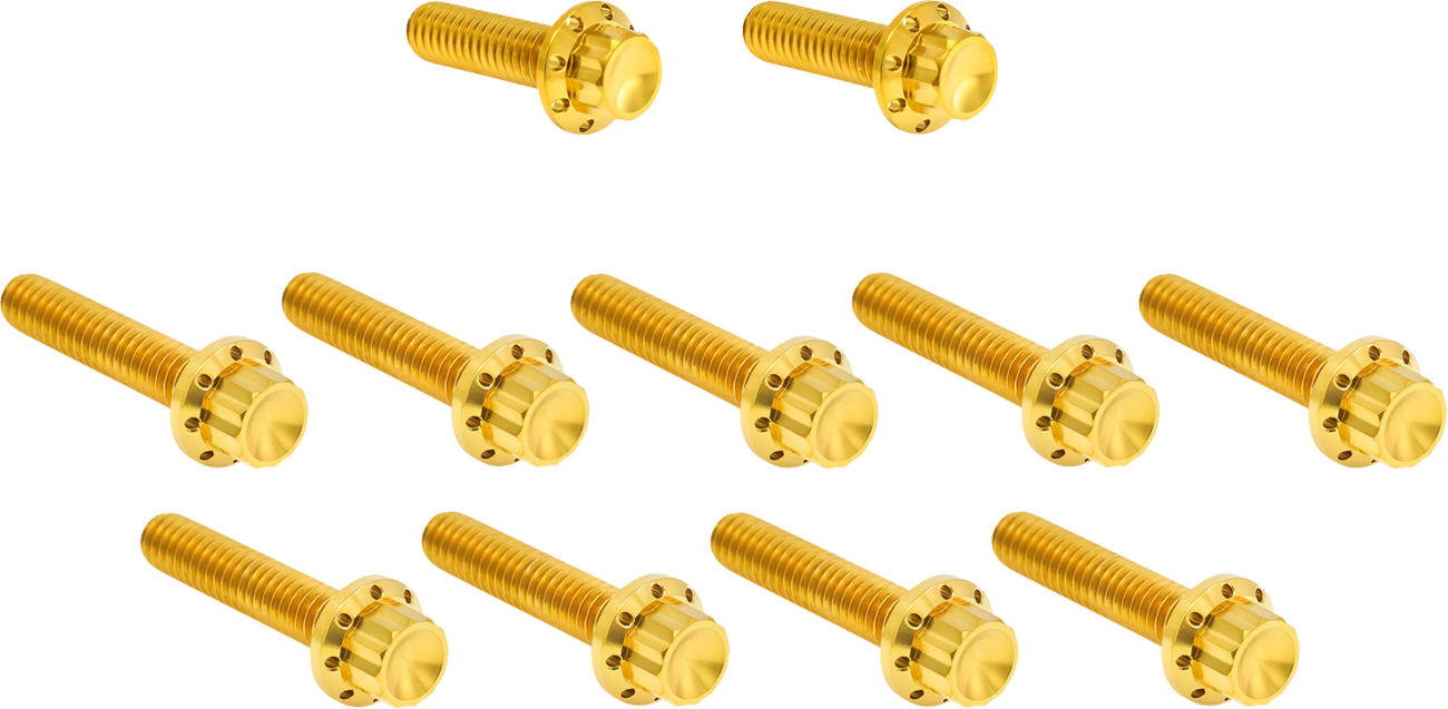 ARLEN NESS Cam Cover/Point Cover Titanium 12-Point Bolt Kit