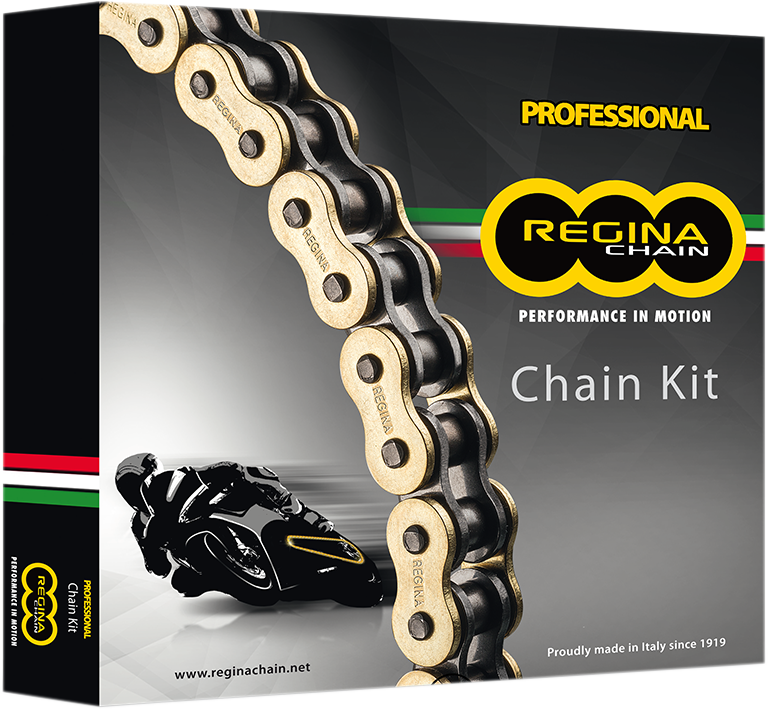 REGINA (5ZRT/106KKA025) Chain Kit Kaw Ex300 Ninja (PU PN 1230-1183)
