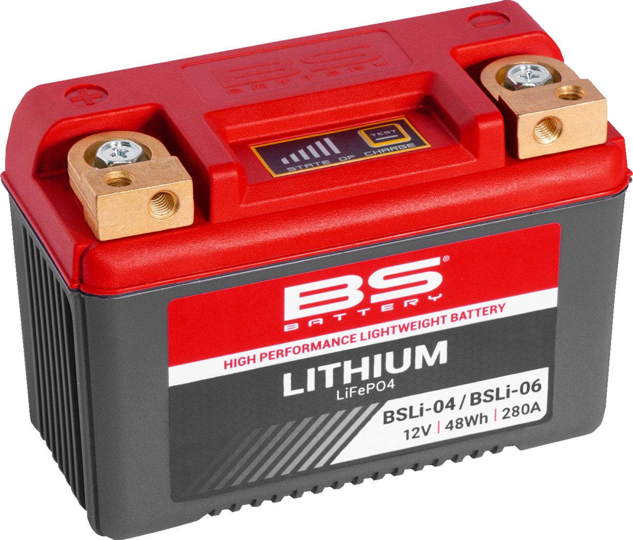 Lithium LiFePO4 Battery