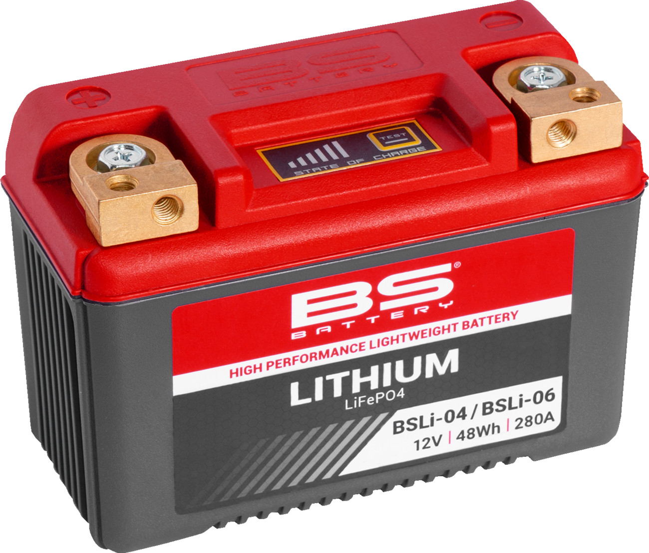 BS BATTERY Lithium LiFePO4 Battery