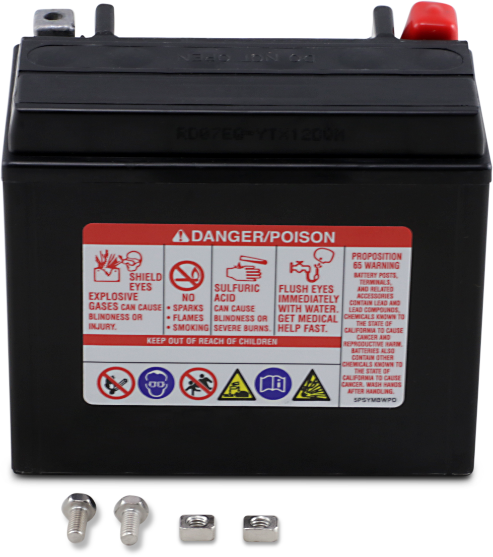 AGM Maintenance-Free Battery