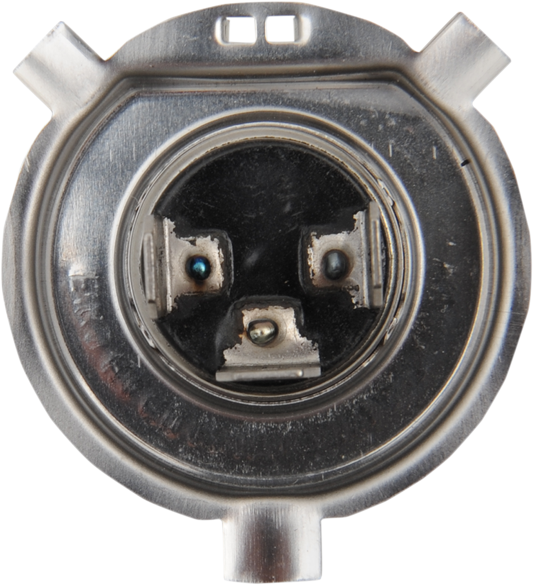 Halogen Bulb