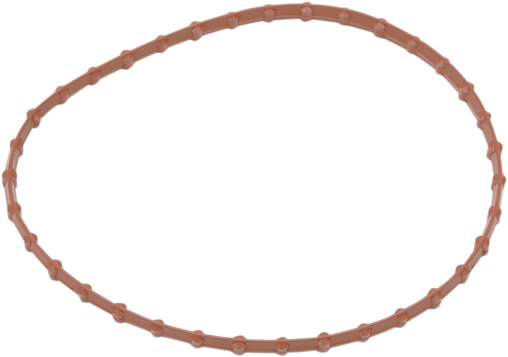 Drag Specialties Fuel Pump Door Seal