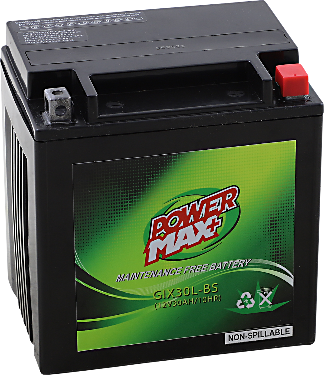 Maintenance-Free Battery