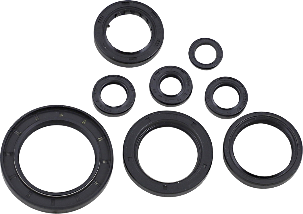Oil Seal Kit