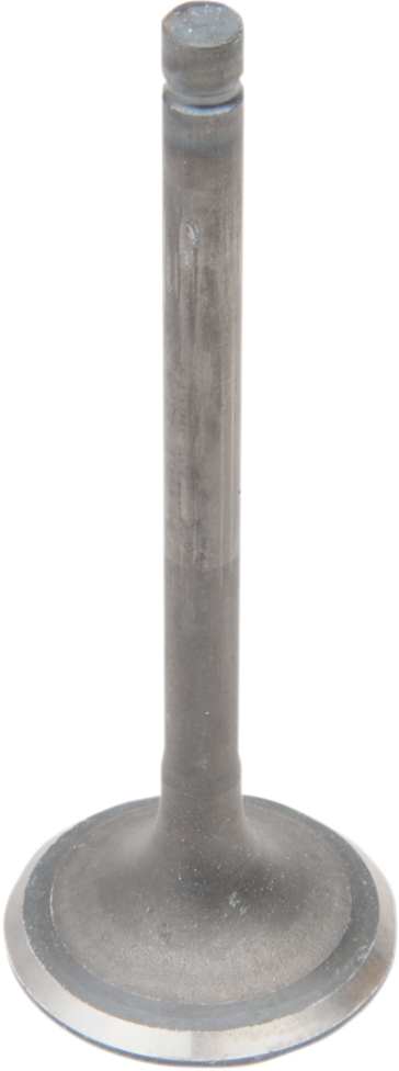 Engine Valves