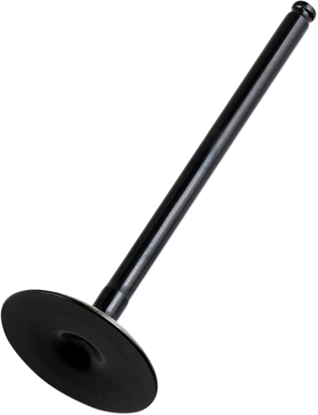 Replacement Valve