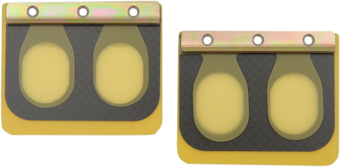 BOYESEN Replacement Pro Series Reed Set for RAD Valve