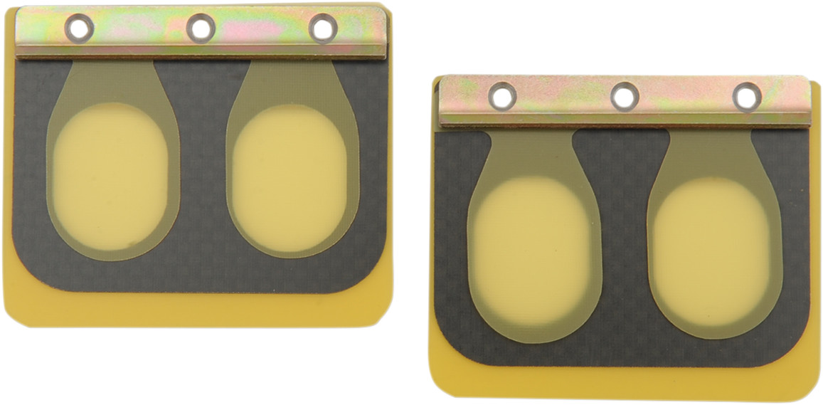 BOYESEN Replacement Pro Series Reed Set for RAD Valve