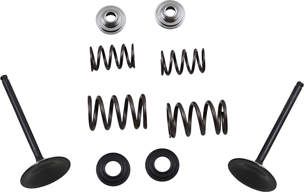 Stainless Intake Valve and Spring Kit