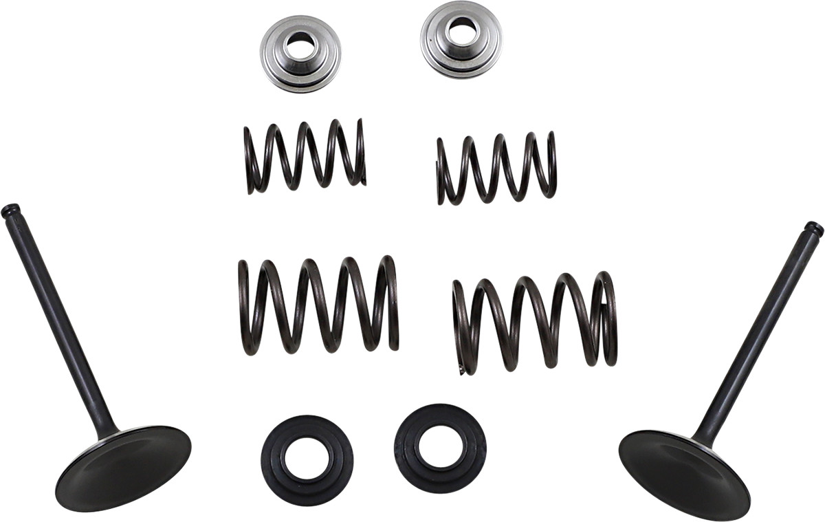 Moose Racing Intake Valve and Spring Kit