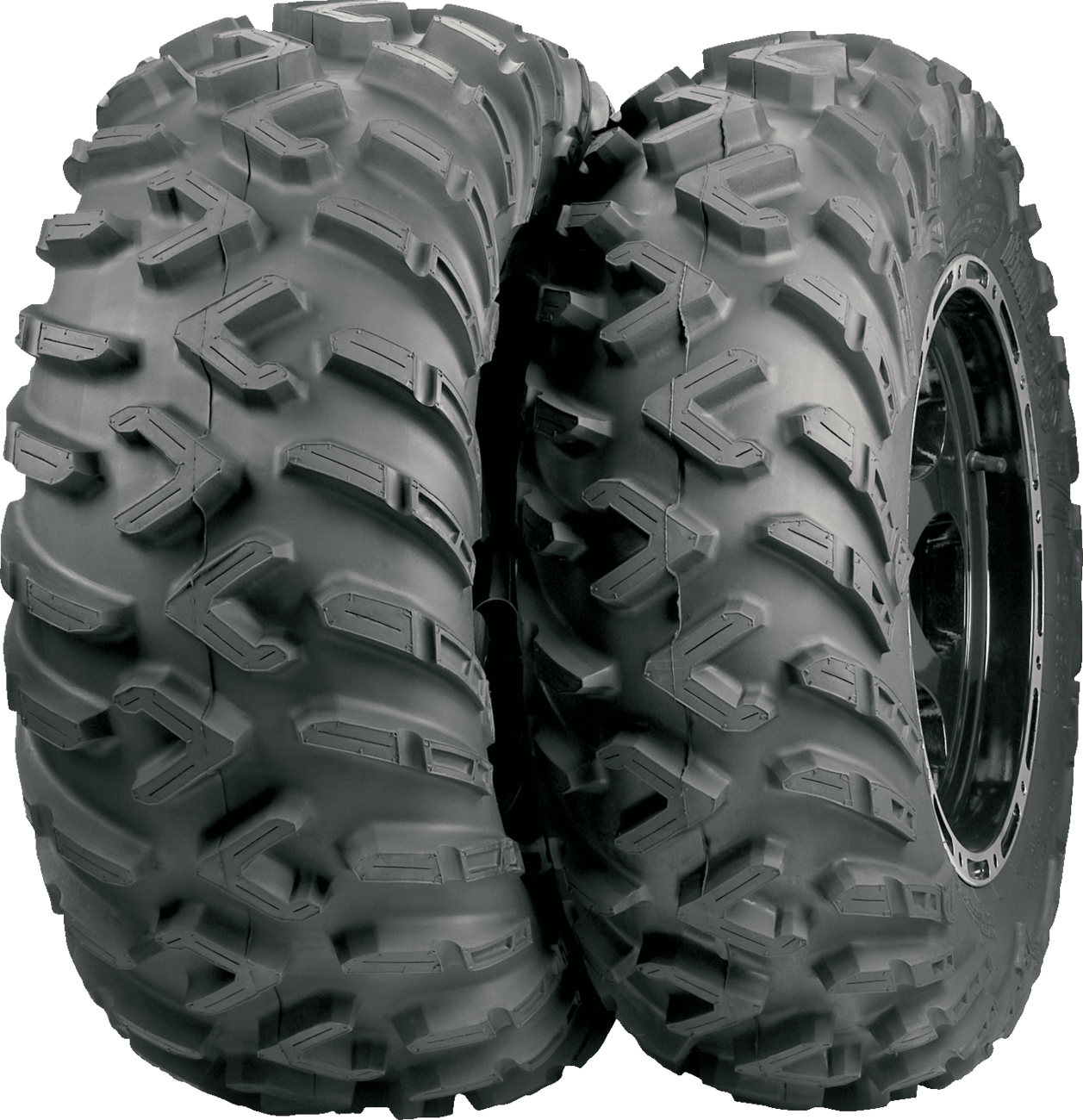 ITP Terracross R/T Tire