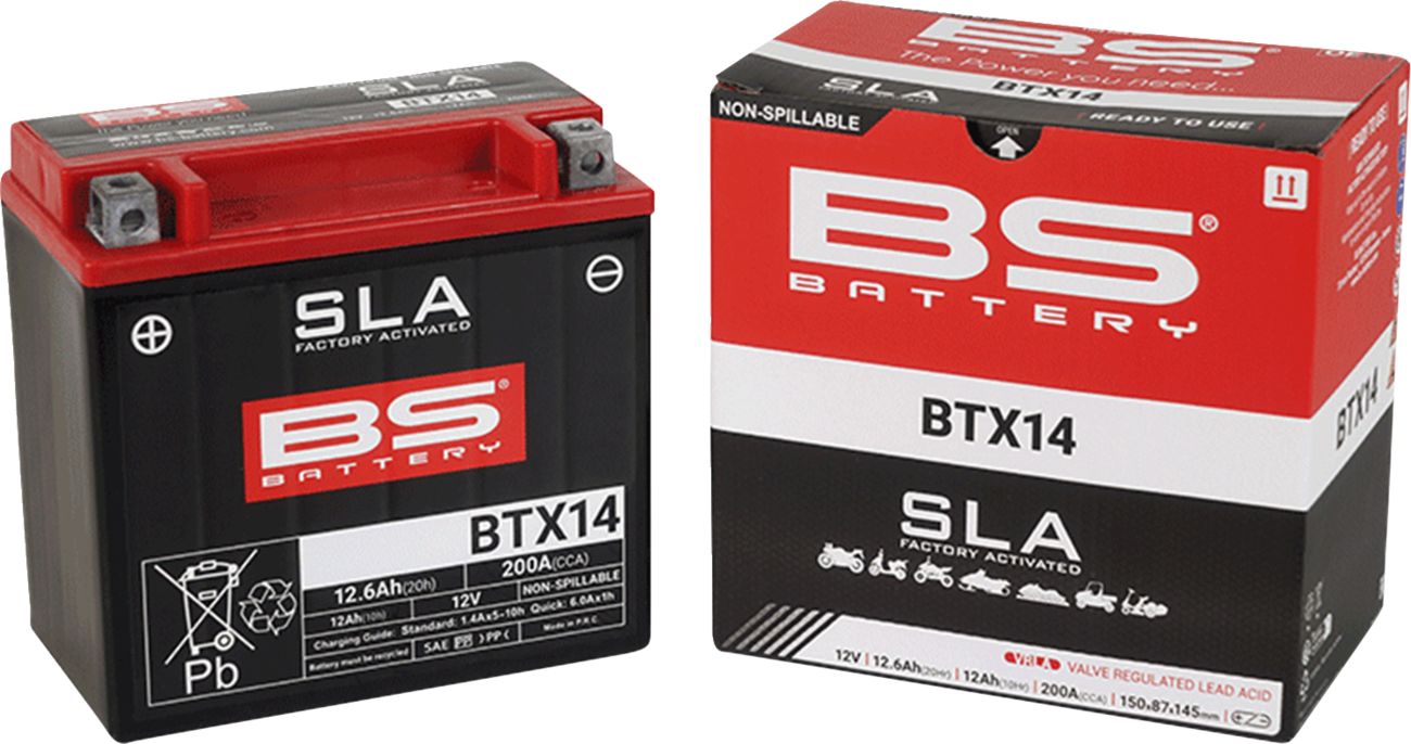 BS BATTERY SLA Factory- Activated AGM Maintenance-Free Battery