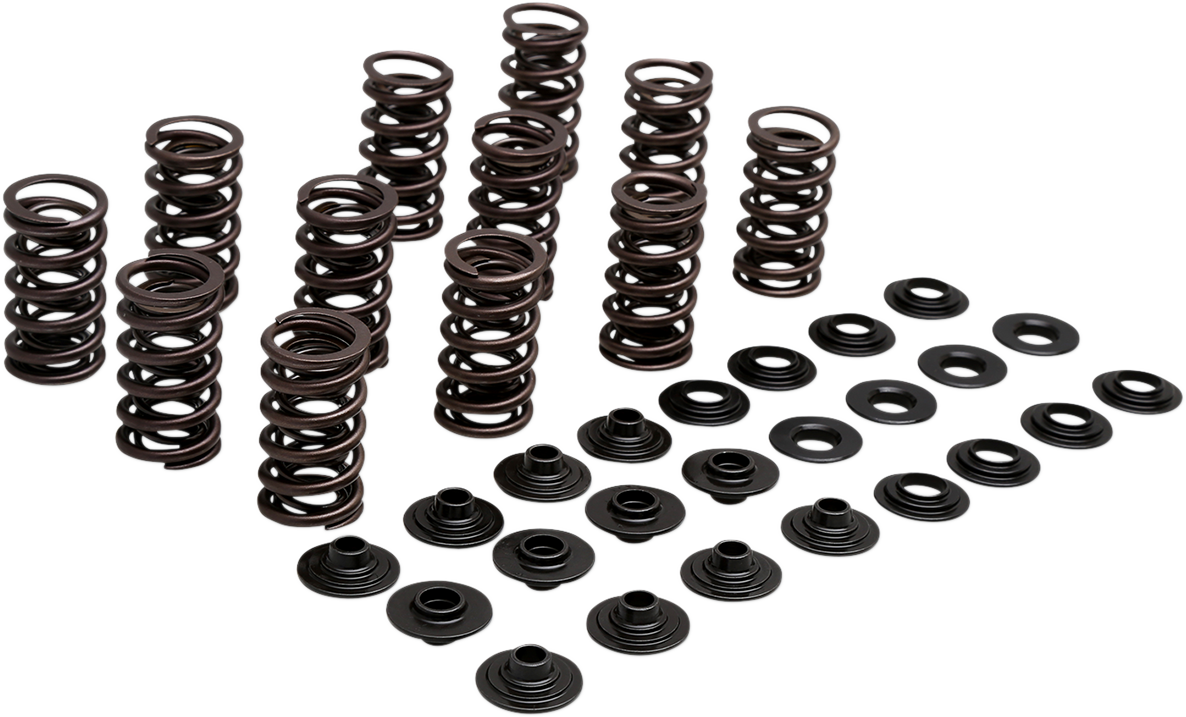 Lightweight Racing Valve Spring Kit