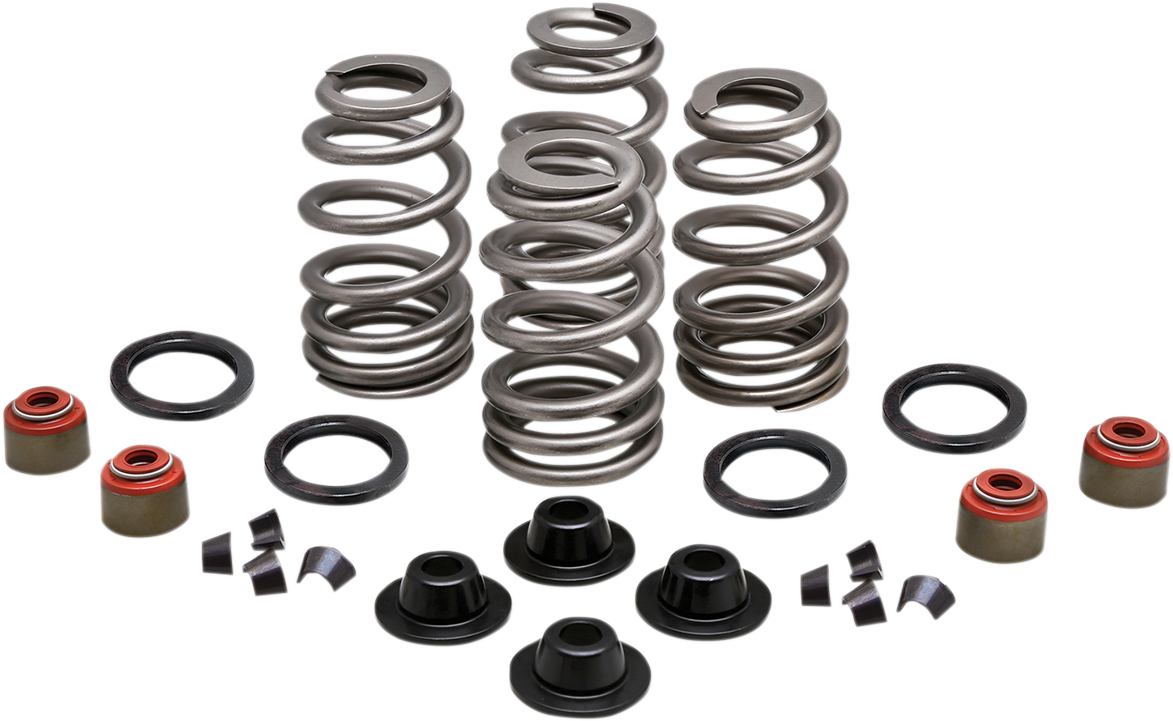 Valve Spring Kit