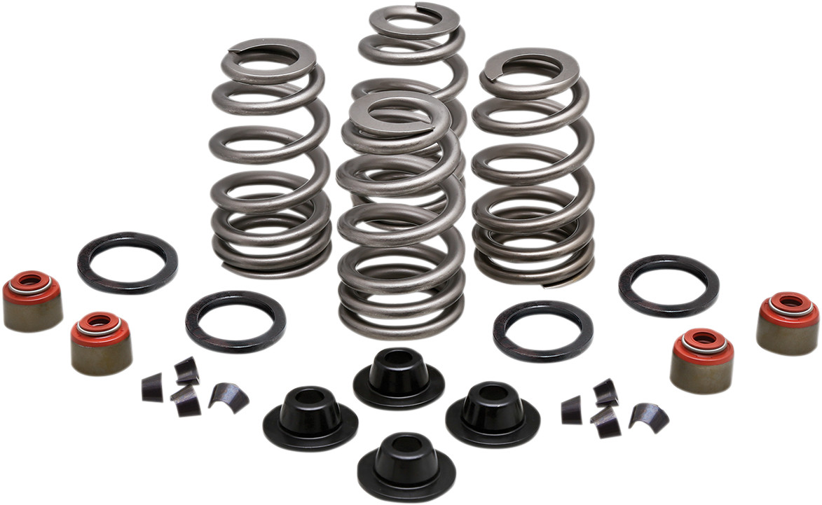KIBBLEWHITE Beehive Valve™ Spring Kit