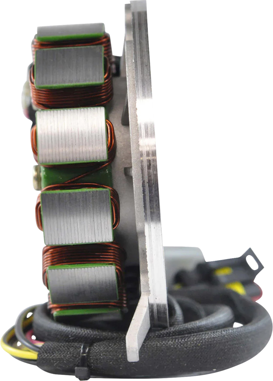 Rm stator Stator and Flywheel Kit - Ski-Doo/Lynx