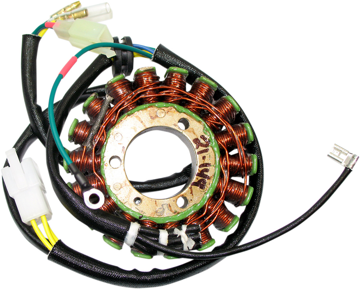 RICK'S MOTORSPORT ELECTRIC Stator