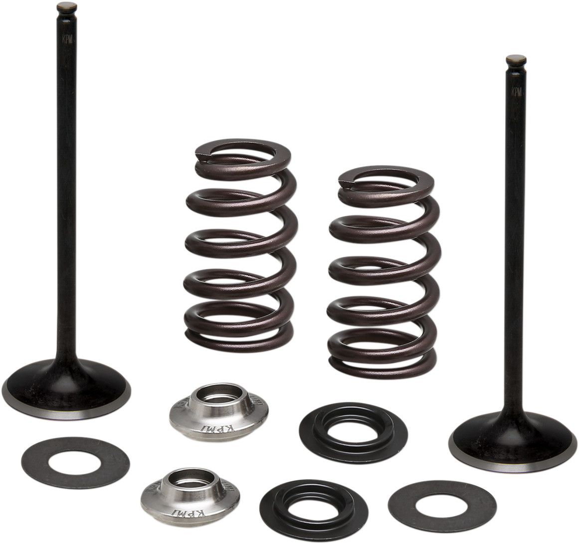 KIBBLEWHITE Intake Stainless Conversion Valve and Spring Kit