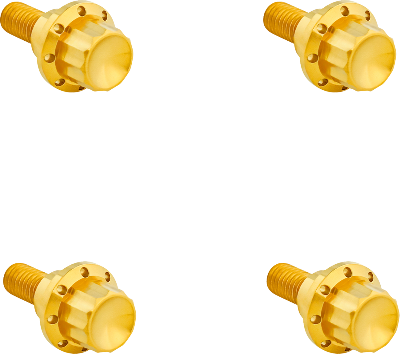 ARLEN NESS Windshield Titanium 12-Point Bolt Kit