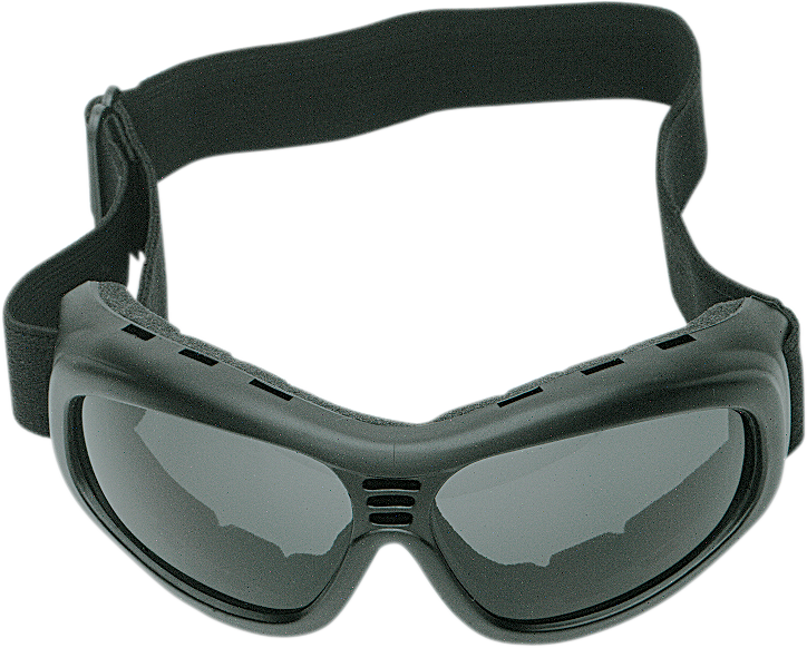 Bobster Touring II Goggles