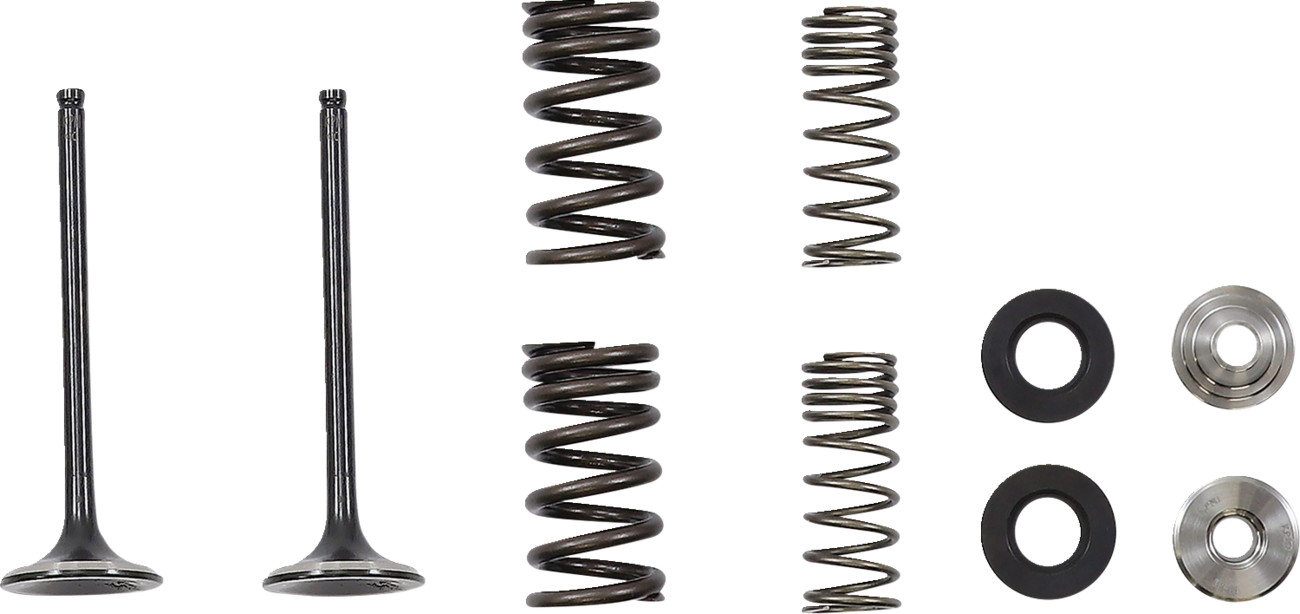 Moose Racing Exhaust Valve and Spring Kit