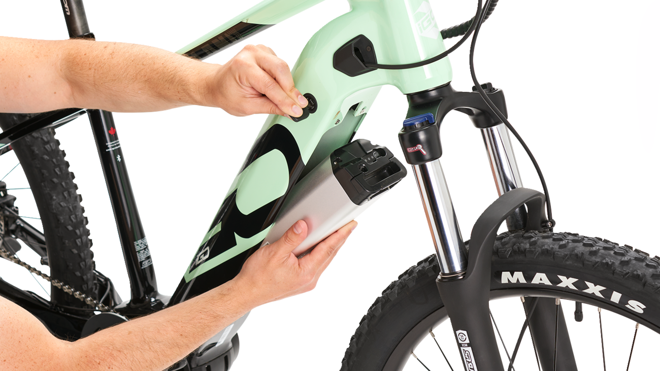 IGO ELECTRIC BIKES Outland Sawback RS E-Bike