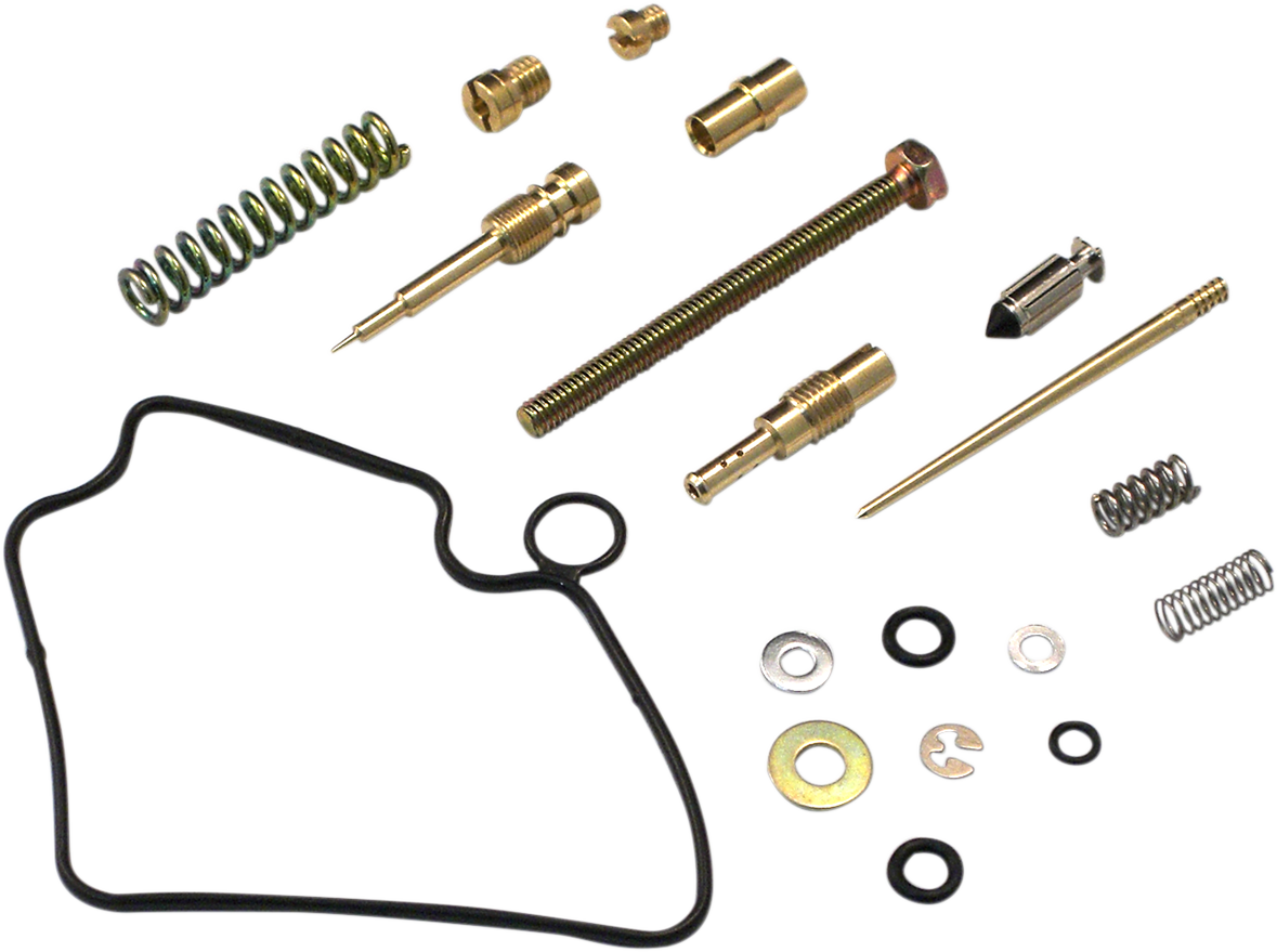 Carburetor Repair Kit