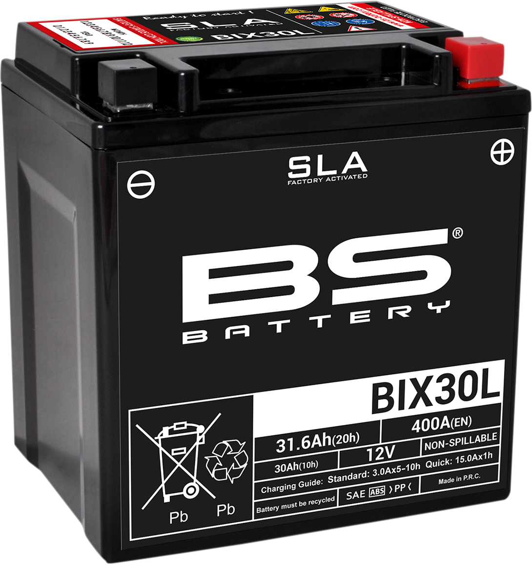 BS BATTERY SLA Factory- Activated AGM Maintenance-Free Battery