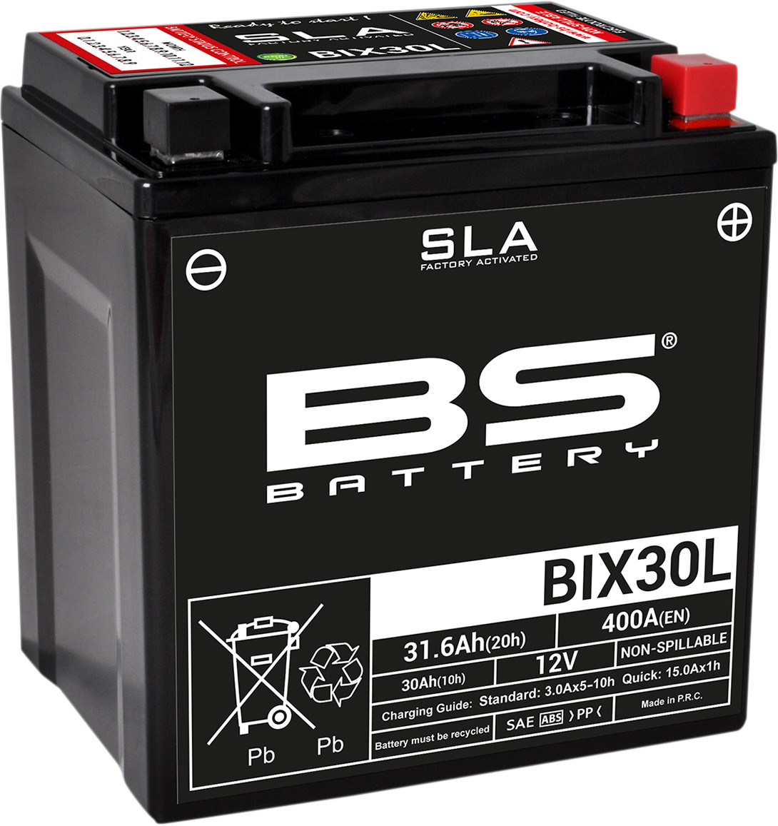 BS BATTERY SLA Factory- Activated AGM Maintenance-Free Battery