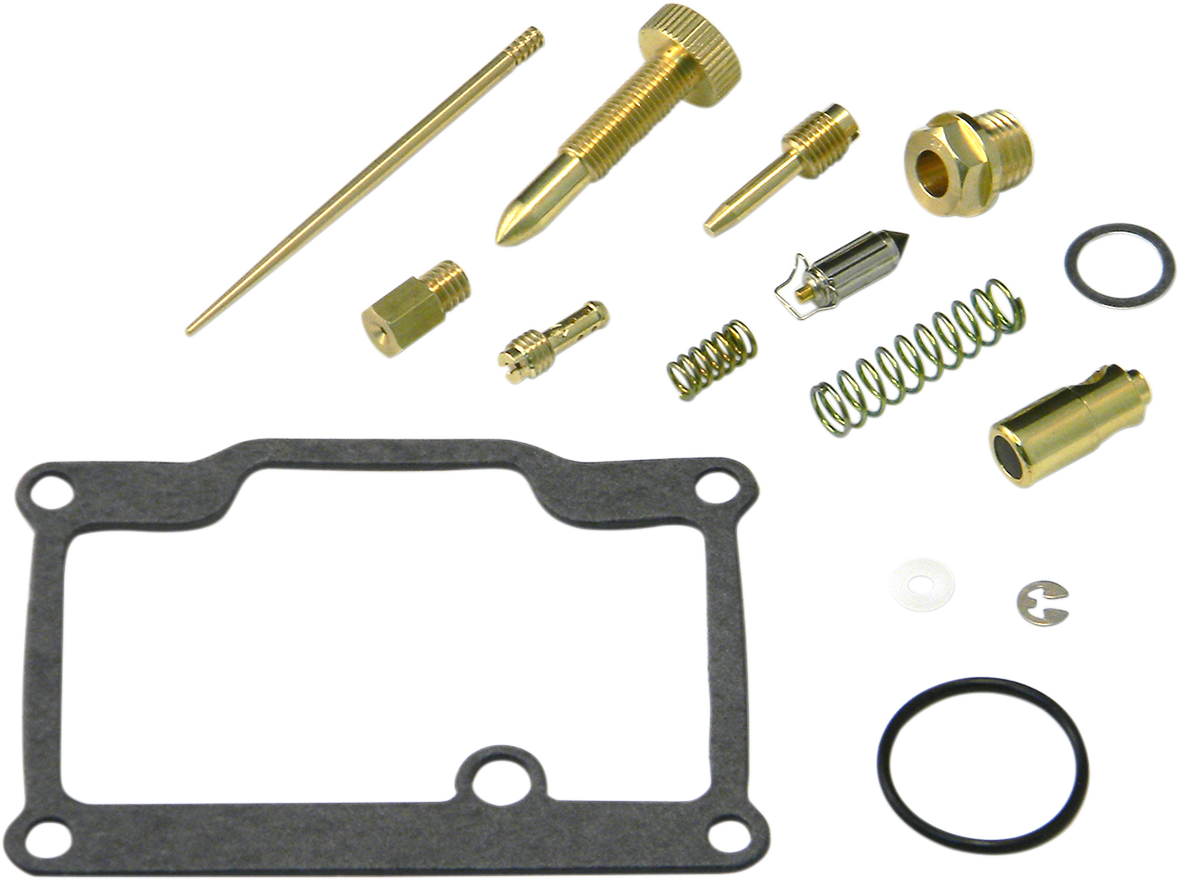 Carburetor Repair Kit