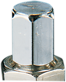 Parts unlimited Valve Stem - Bolt-In - Chrome