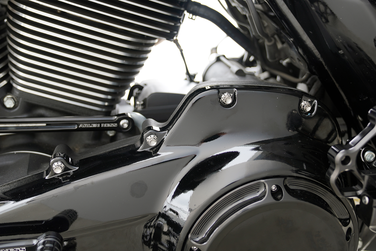 ARLEN NESS Outer Primary Cover Titanium 12-Point Bolt Kit