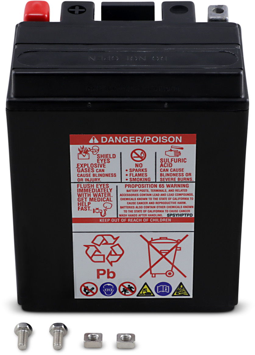 Yuasa Maintenance-Free Battery
