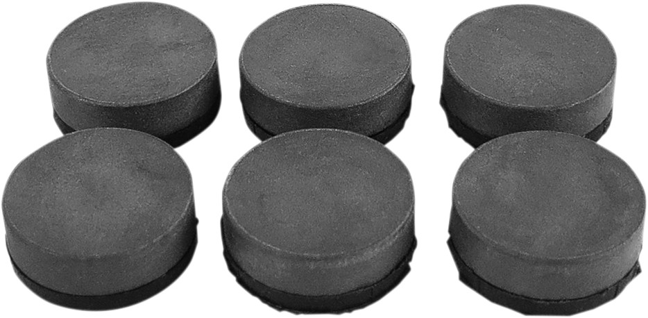 Primary Clutch Button Kit