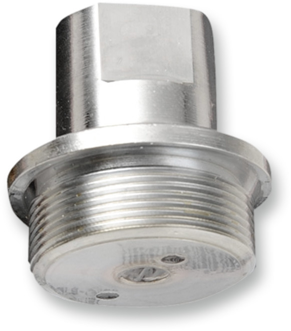 COLONY Upper Fork Tube Caps/Bolts — Standard