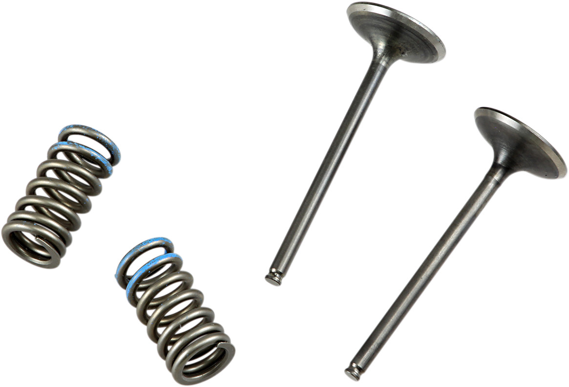 PROX Steel Intake Spring Kit