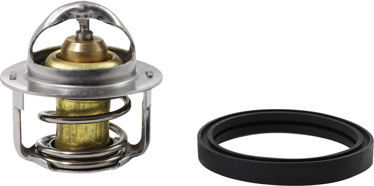 ALL BALLS Replacement Thermostat - Polaris