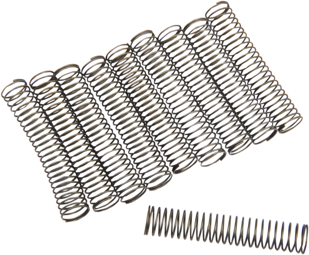 Oil Pump Check Valve Springs