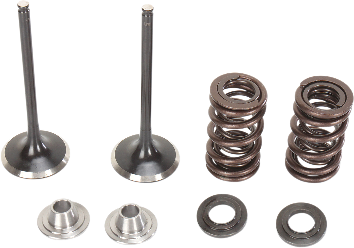 Stainless Intake Valve and Spring Kit