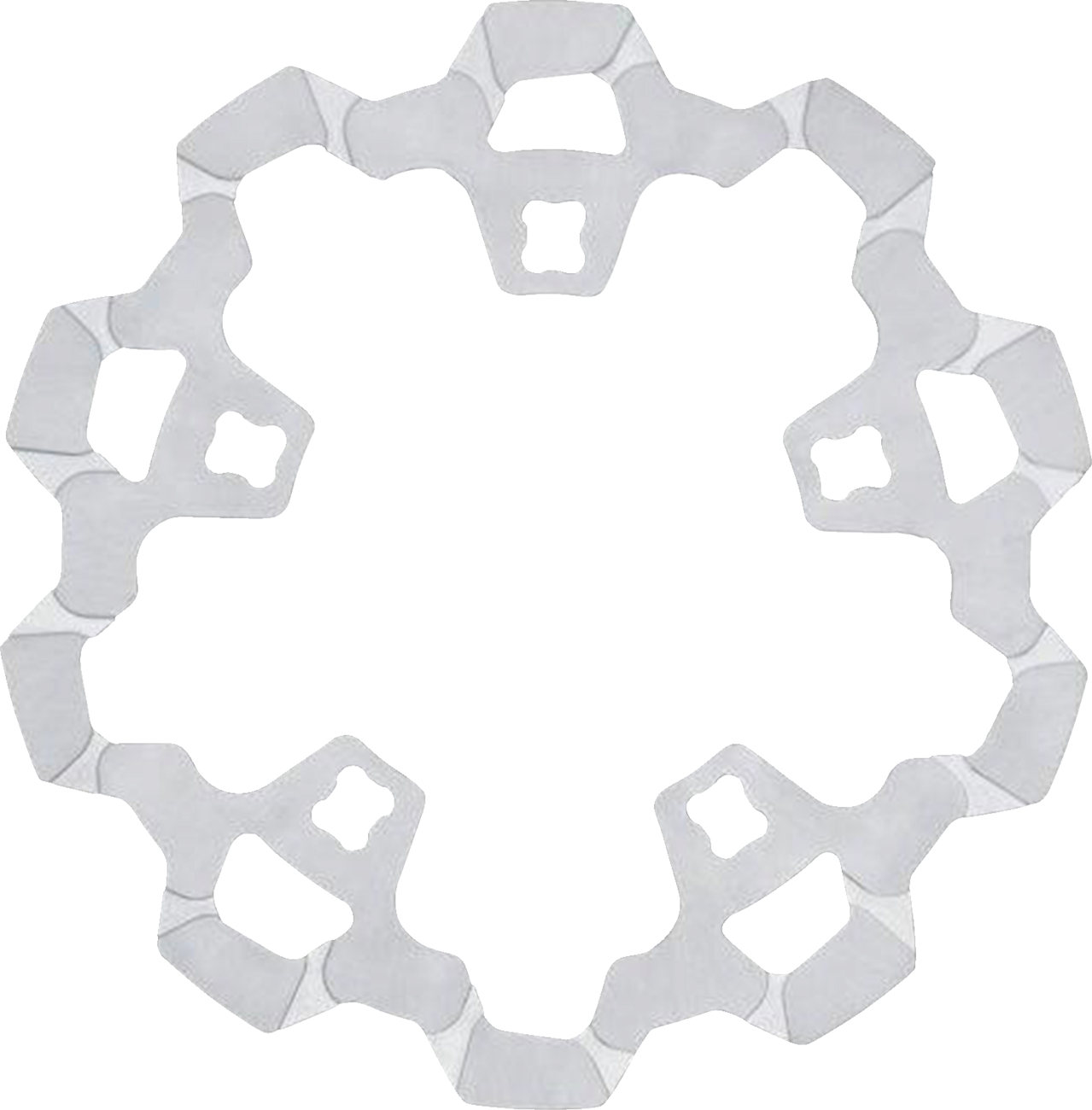 Front Brake Rotor