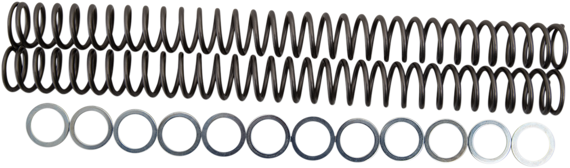 Race tech Fork Springs — 29.10 lb/in 2002-2024 Suzuki DR-Z400S / 2010-2010 Ducati Multistrada 1200