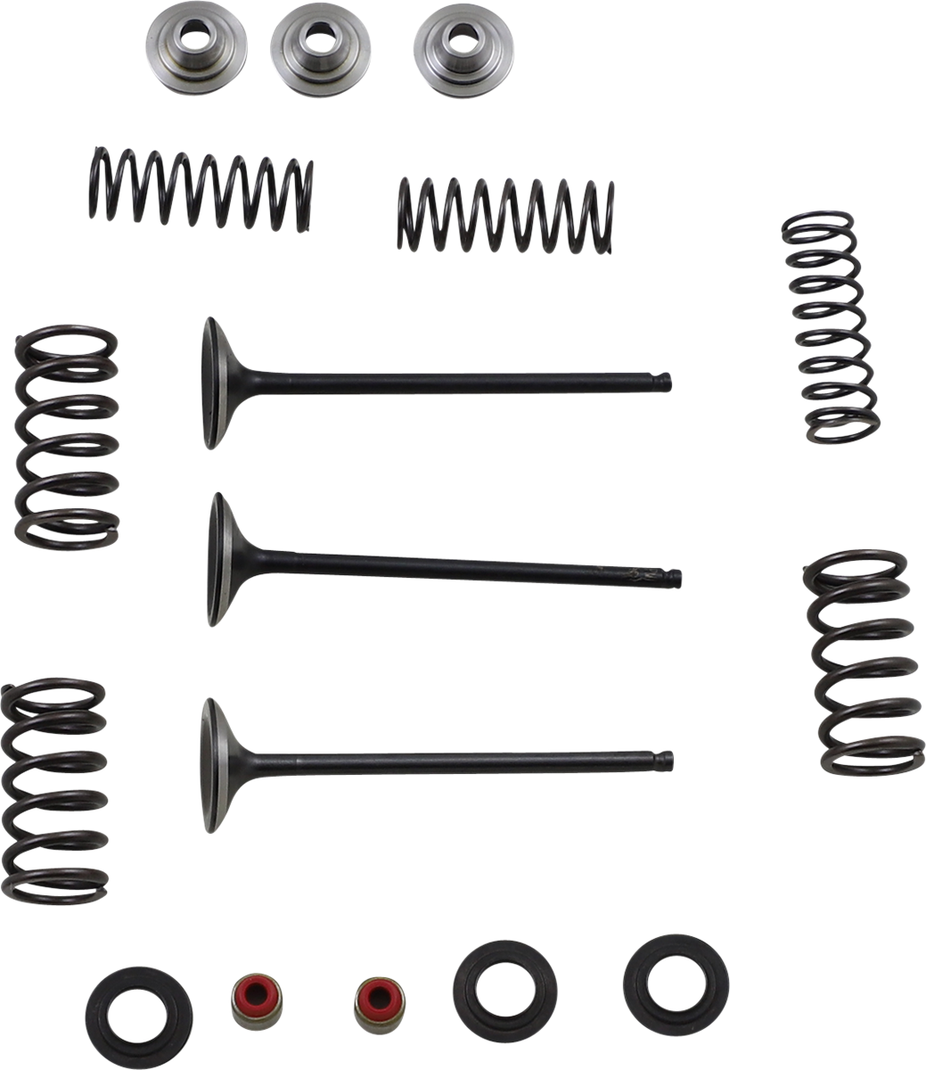 Moose Racing Intake Valve and Spring Kit