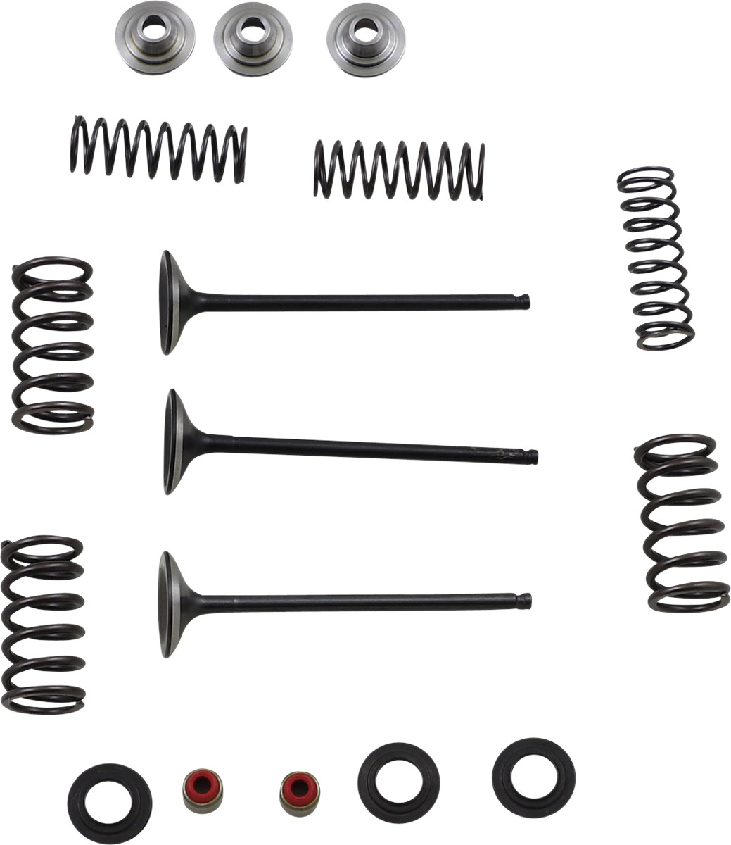 Moose Racing Intake Valve and Spring Kit
