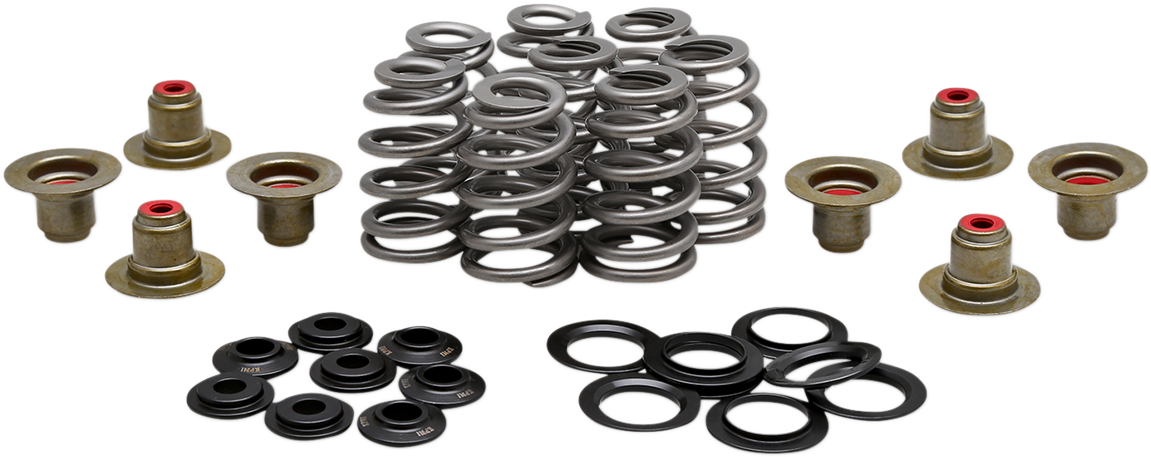 KIBBLEWHITE Beehive Valve™ Spring Kit