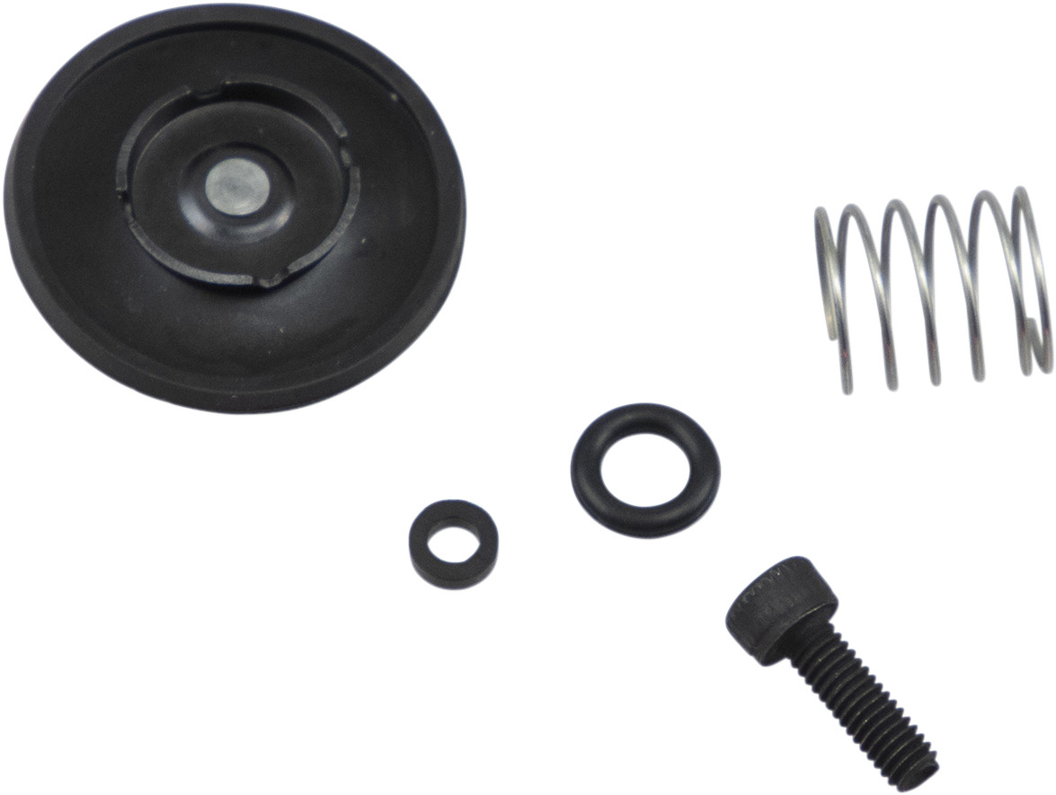 Accelerator Pump Rebuild Kit