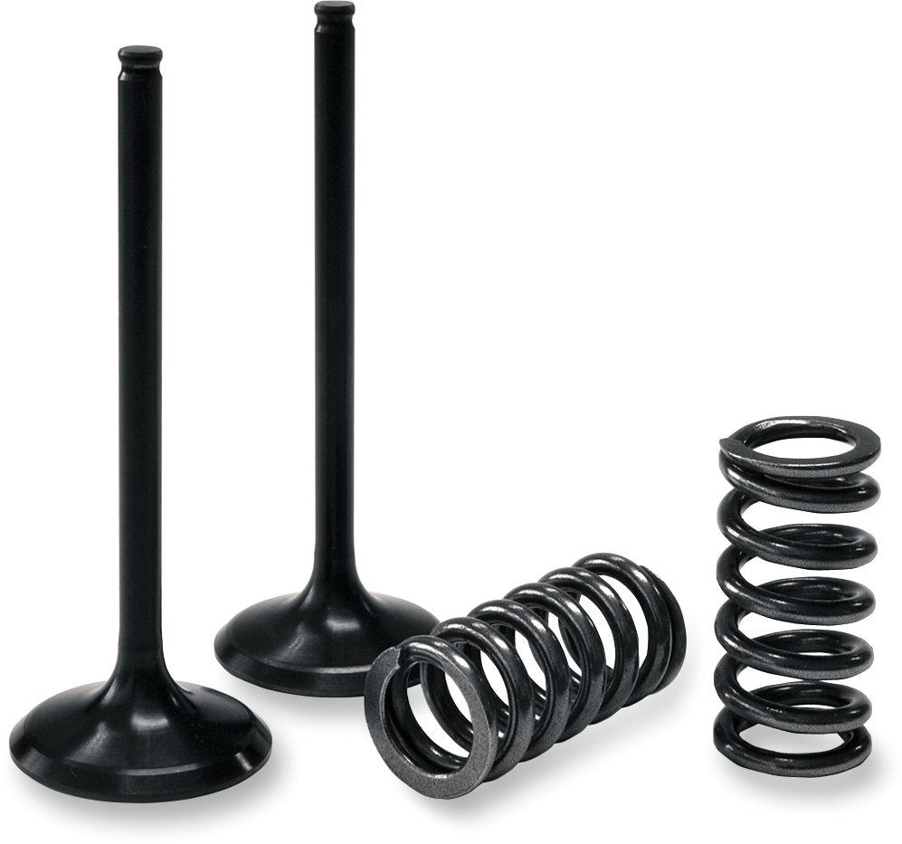 PROX (28.SIS4341-2) Intake Valve/Spring Kit