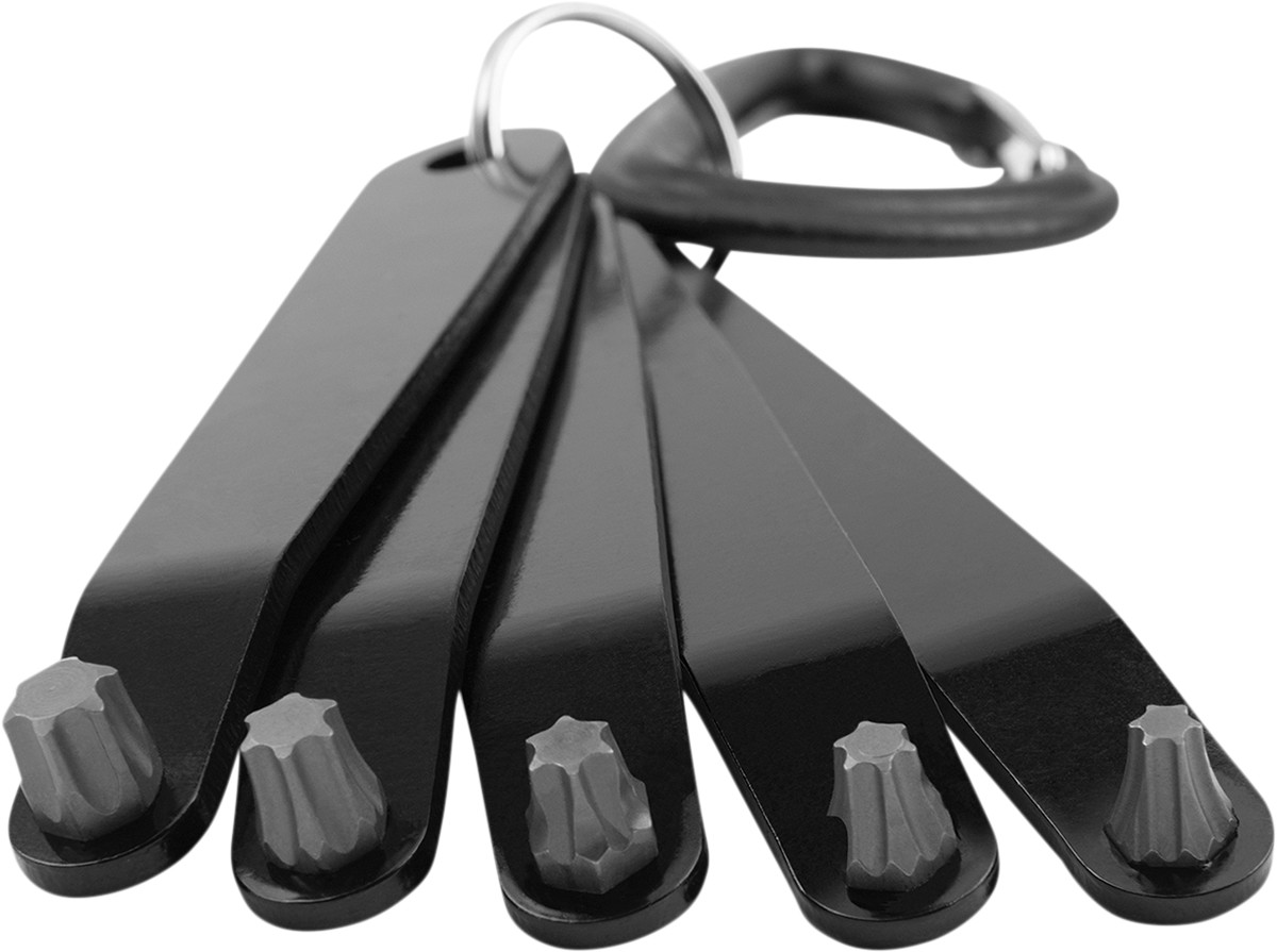 PERFORMANCE TOOL Star Driver Set