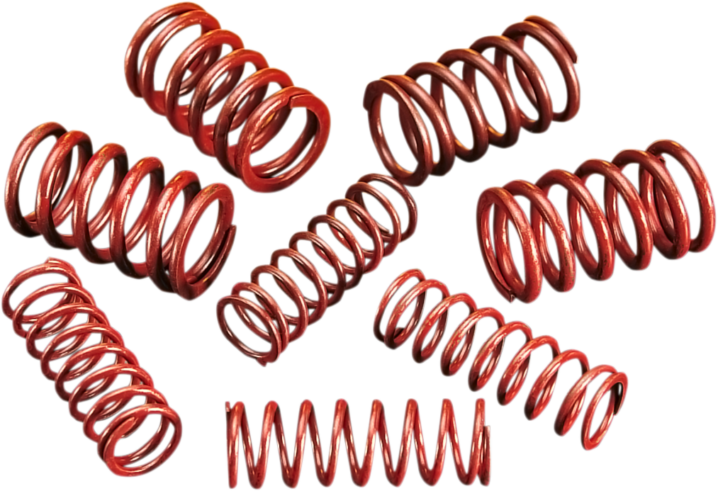 ANDREWS High-Lift Valve Spring Kit